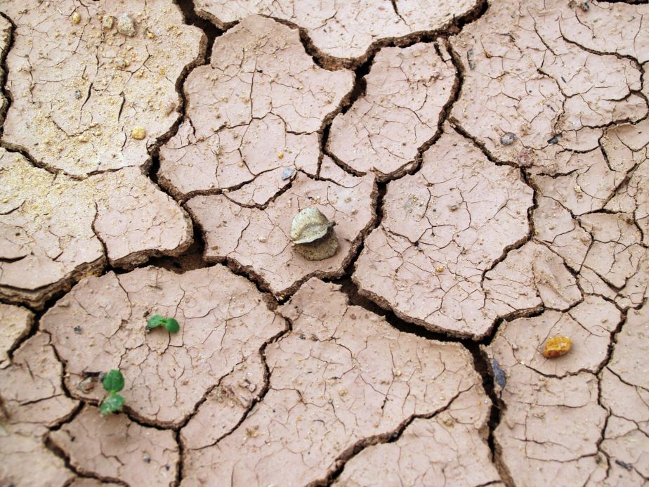 Drought forecasting unlocked by AI