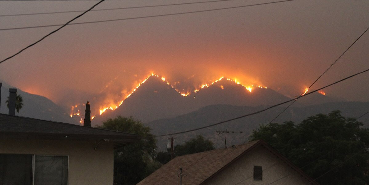 AI To Fight Wildfires
