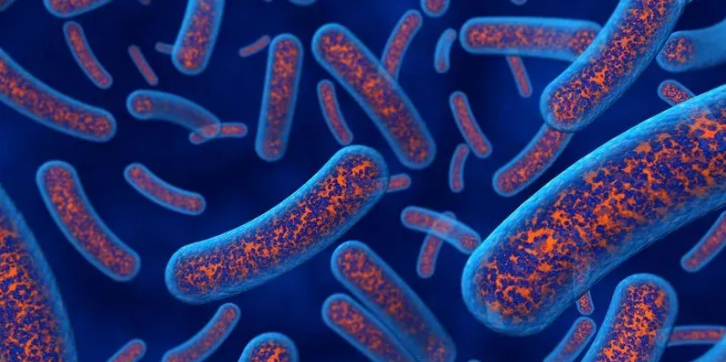 Bacteria Could Help Build Eco-Friendly Construction Materials