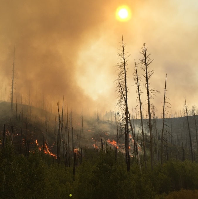 Remote sensing of forests aids understanding of catastrophic wildfires
