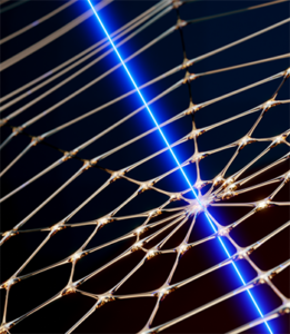Read more about the article Researchers create one of the world’s most precise microchip sensors – thanks to a spiderweb