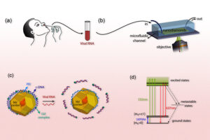 Read more about the article Sensor-based on quantum physics could detect SARS-CoV-2 virus