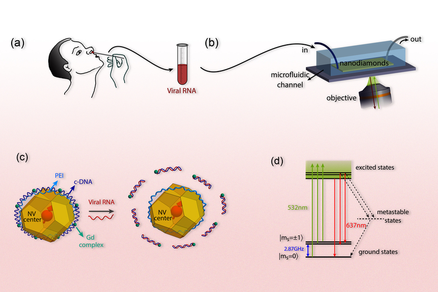 Sensor-based on quantum physics could detect SARS-CoV-2 virus