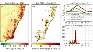 Read more about the article Tracking from Space how Extreme Drought Impacts Carbon Emissions