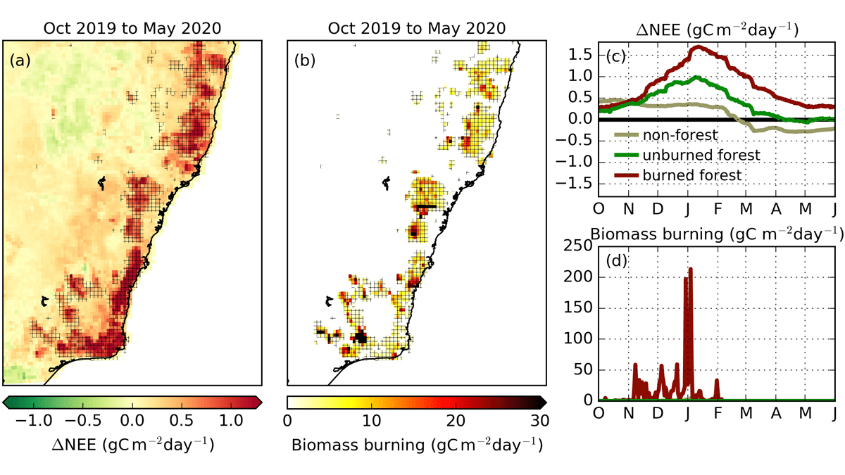 Tracking from Space how Extreme Drought Impacts Carbon Emissions